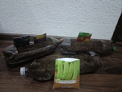 IMG20250412192631